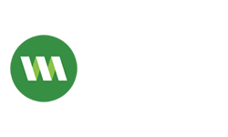 ola money